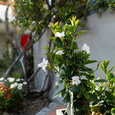 Casa Gagliardi Bed & Breakfast Matera