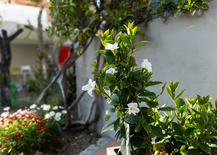 Casa Gagliardi Bed & Breakfast Matera