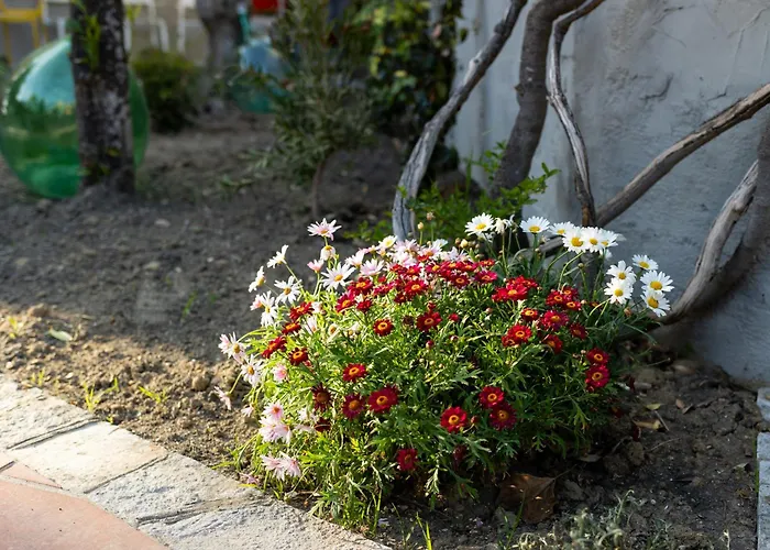 Bed & Breakfast Casa Gagliardi Matera